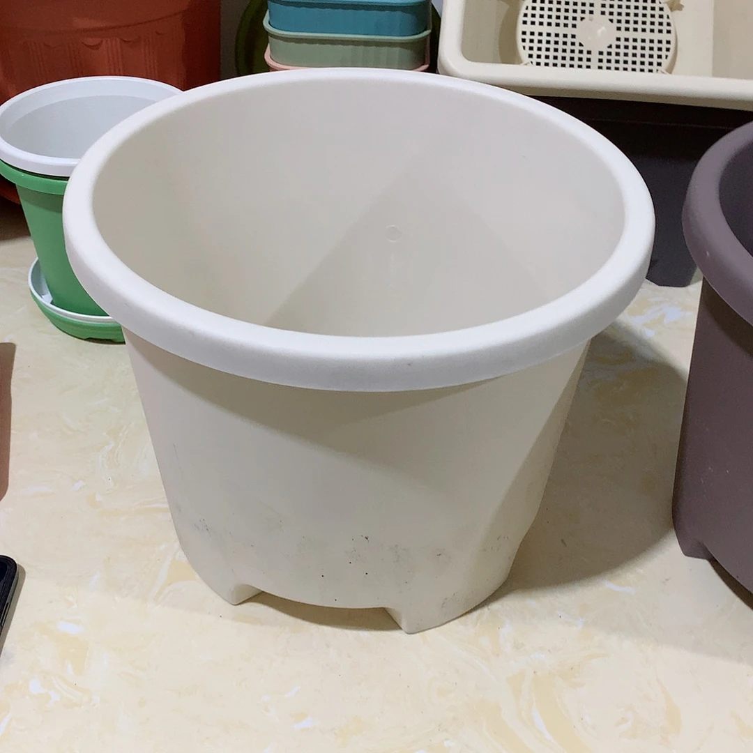 树脂球根口32米白3个无托