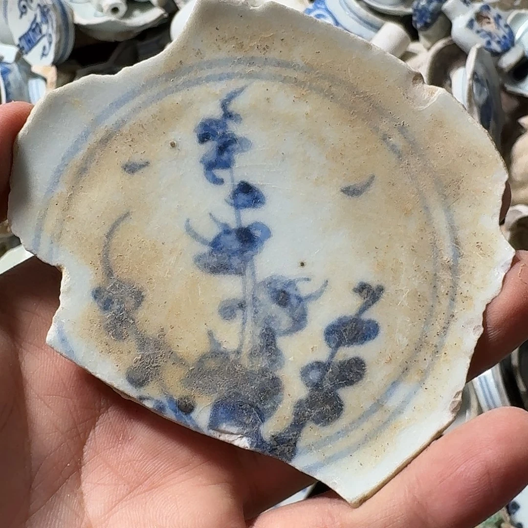 瓷片瓷片标本，顺丰包邮