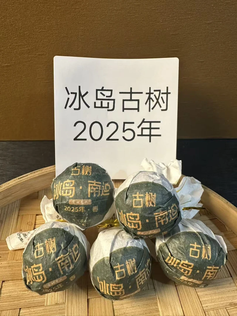 【2025年冰岛南迫古树头春头采龙珠】