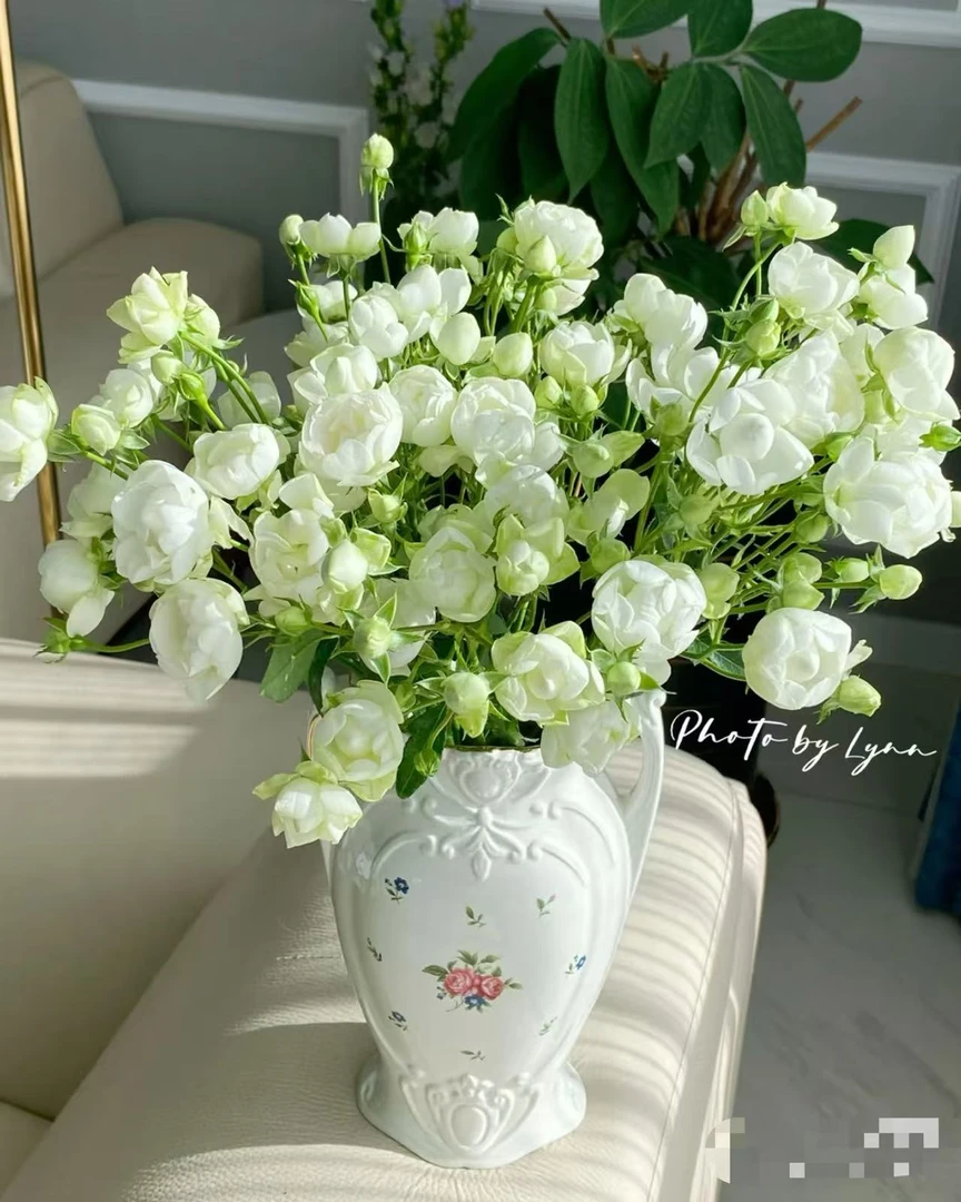 多头白泡芙泡泡（小巧/可爱）