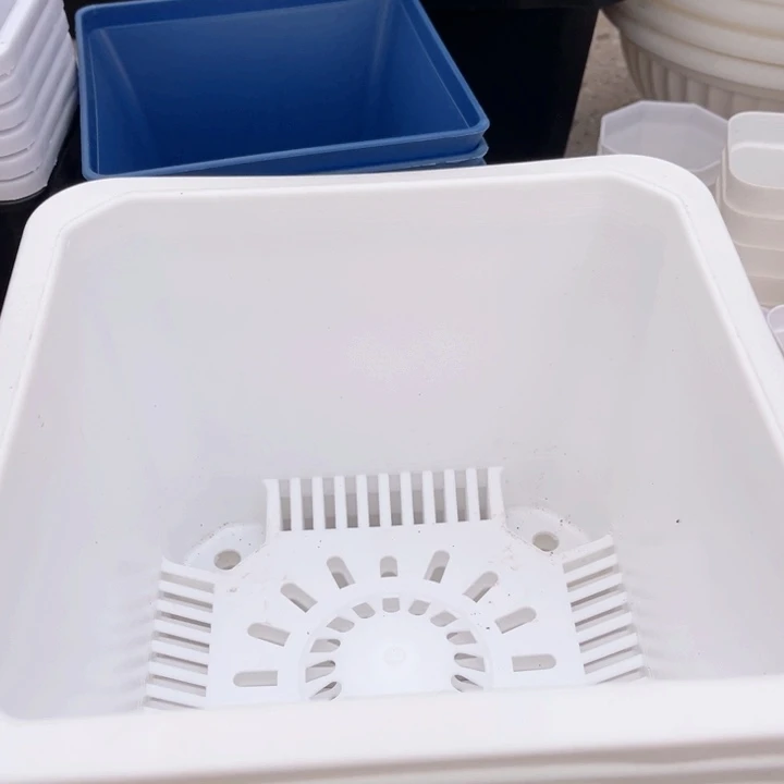 白方口21高15一组5