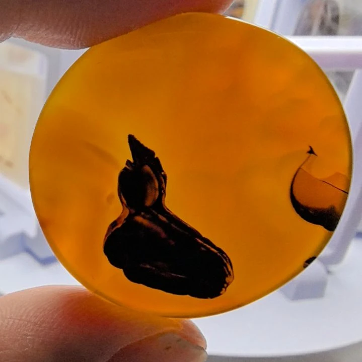 非金属时尚饰品40