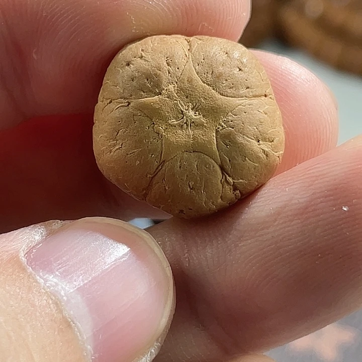 凤眼菩提手串尼泊尔小fy