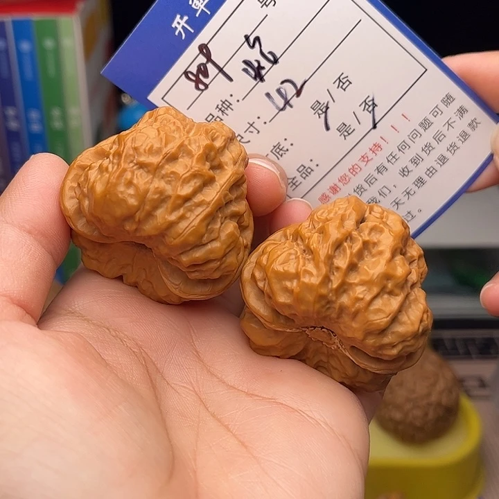 文玩核桃手捻核桃809