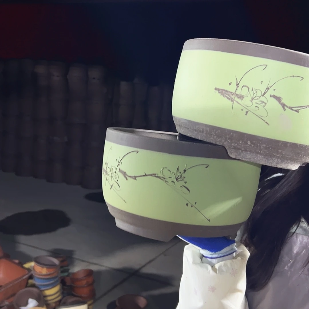 25+25苹果绿萝花盆花盆花盆