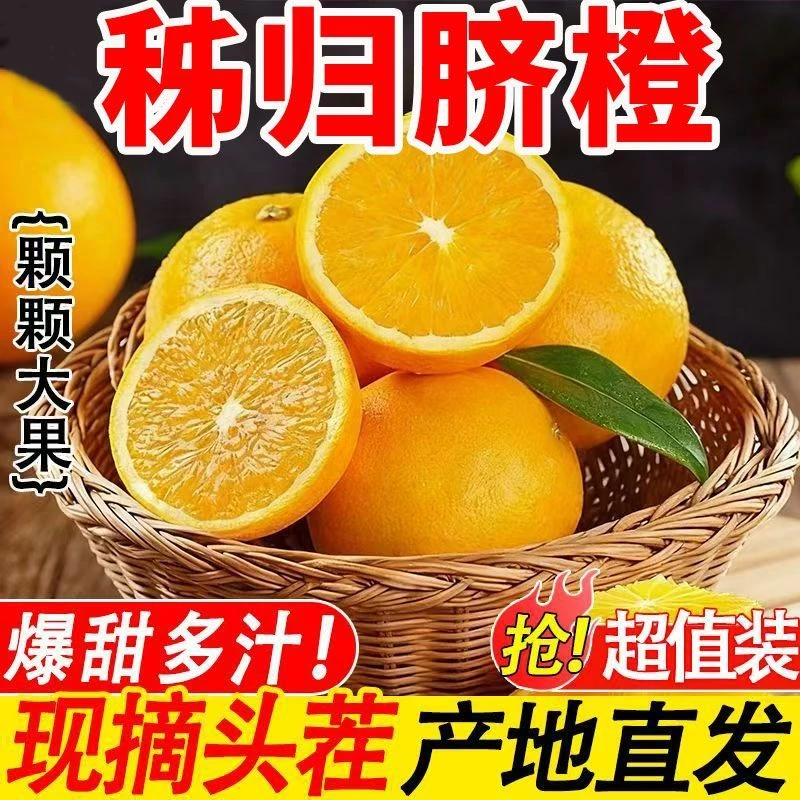 三峡秭归高山脐橙当季新鲜水果自家农场现摘现发LB