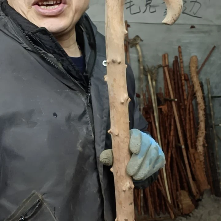 稳定木自***柴贵州檬子木   铁马鞭   根艺  半成品