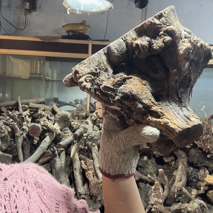 大***n香榧木火琉璃的故事是什么呢