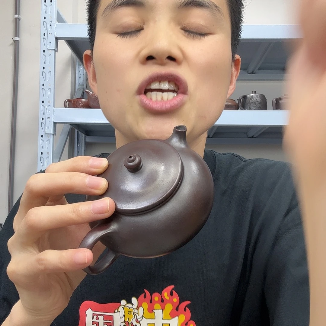 紫砂茶壶民间手艺人全手工制作