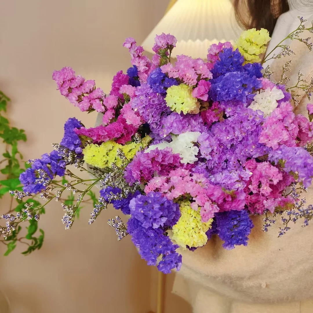 云南天然风干干花花束勿忘我真花装饰摆件客厅大束插花满天星批发