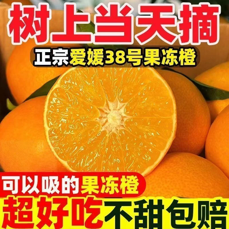 【只卖好吃的一级果不卖二级果】四川爱媛38号果冻橙新鲜水果