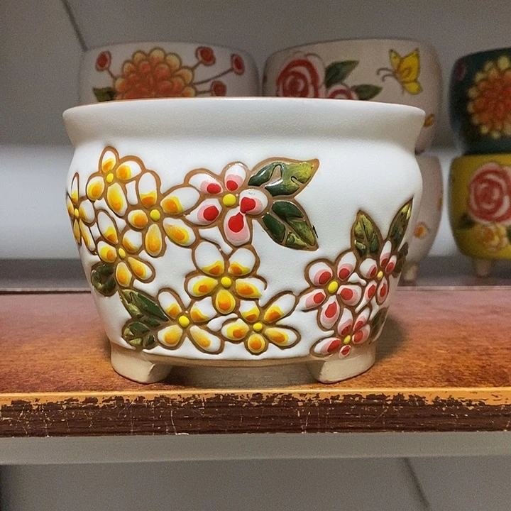 韩式多肉植物花盆