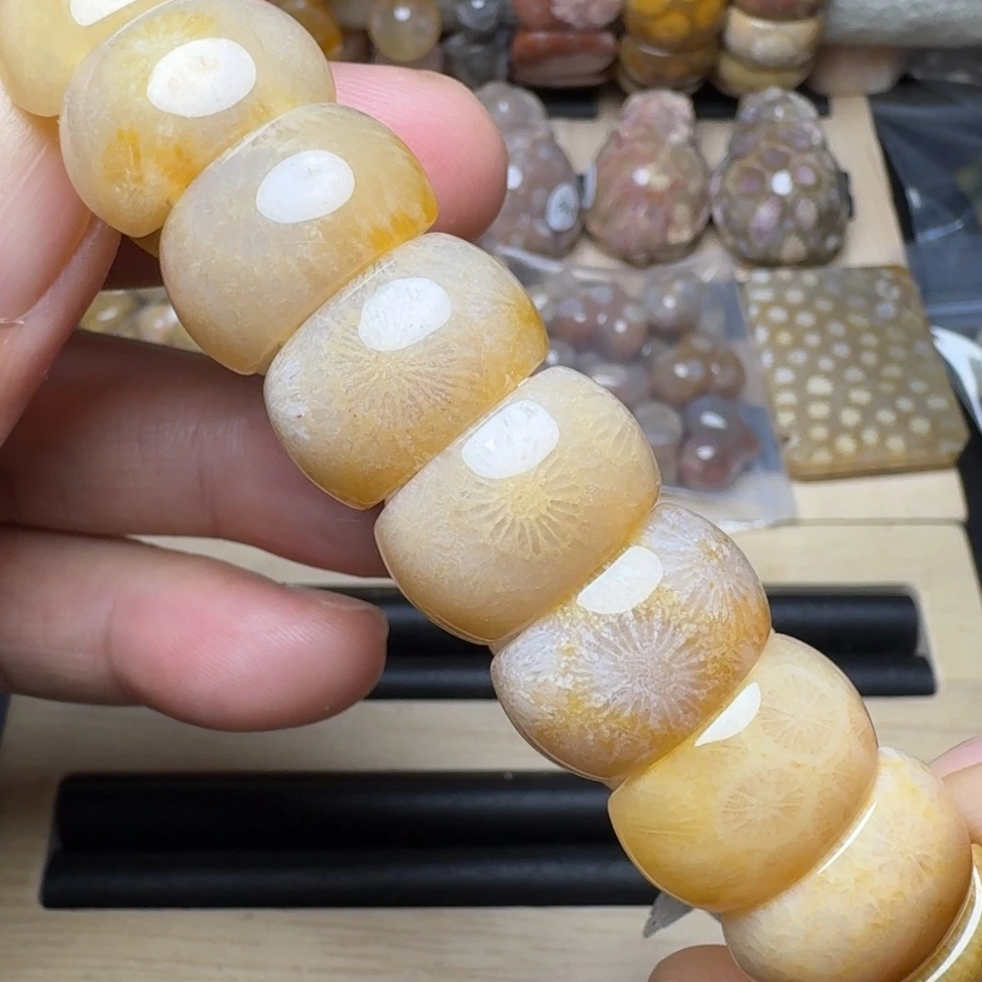 硅化珊瑚（珊瑚玉）未镶嵌纯天然色有机玉石保真色