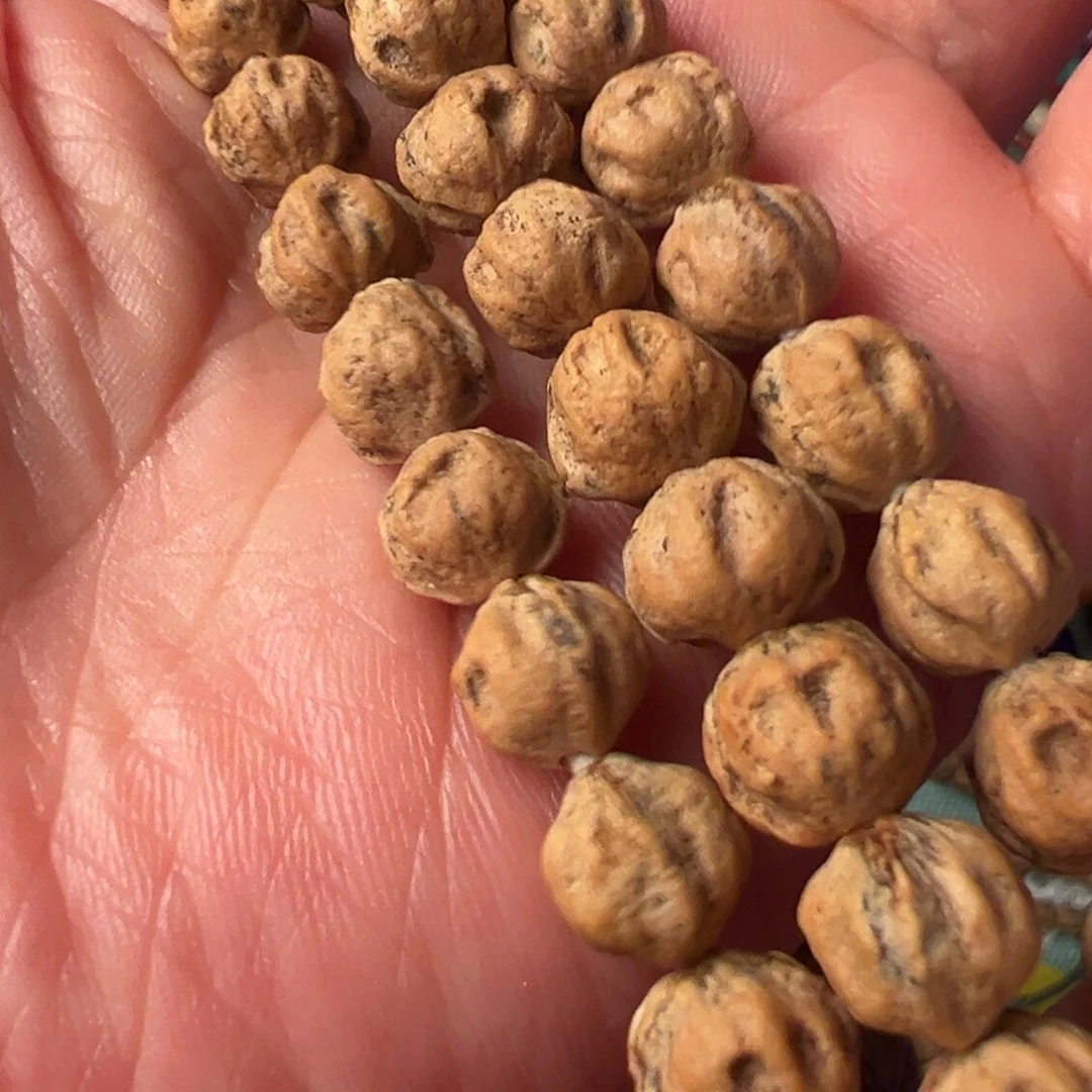 吊坠柏香籽/百香籽⁉大