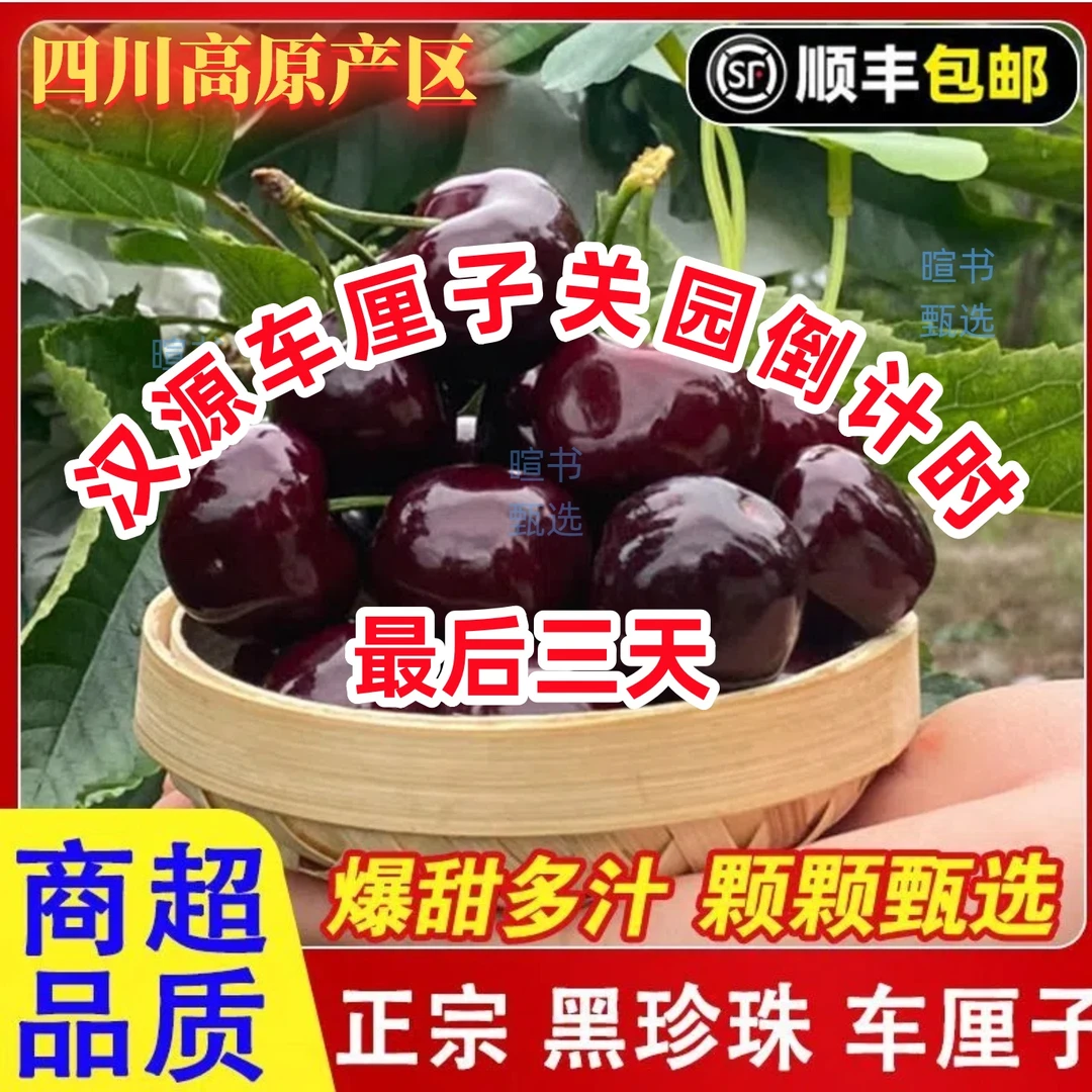 川渝区域顺丰冷链次日达正宗高山黑珍珠车厘子大樱桃整箱顺丰包邮