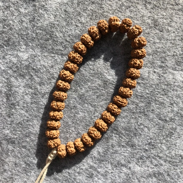 独物专享！粉丝福利平细树祖小金刚菩提！有黄！介意勿拍