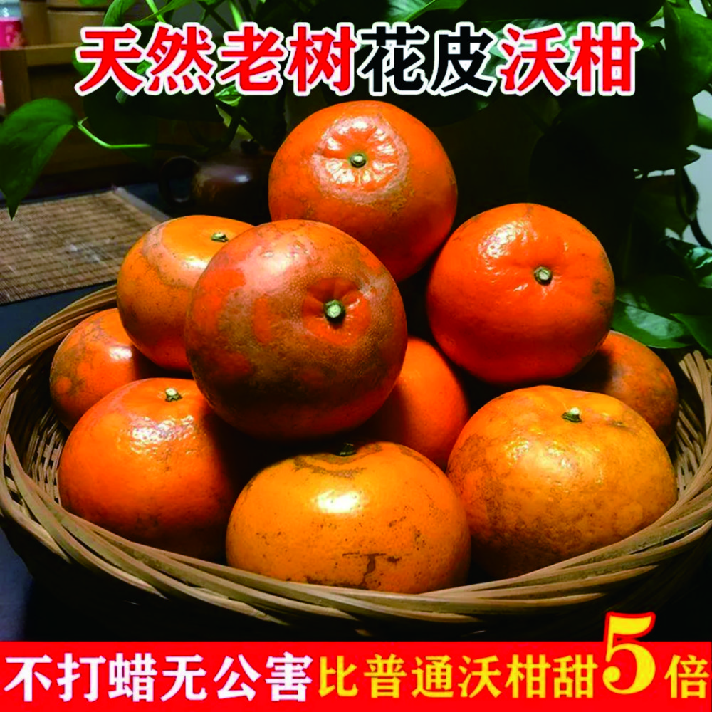 沃柑大果净重9斤老树花皮广西武鸣正宗爆甜多汁新鲜采摘
