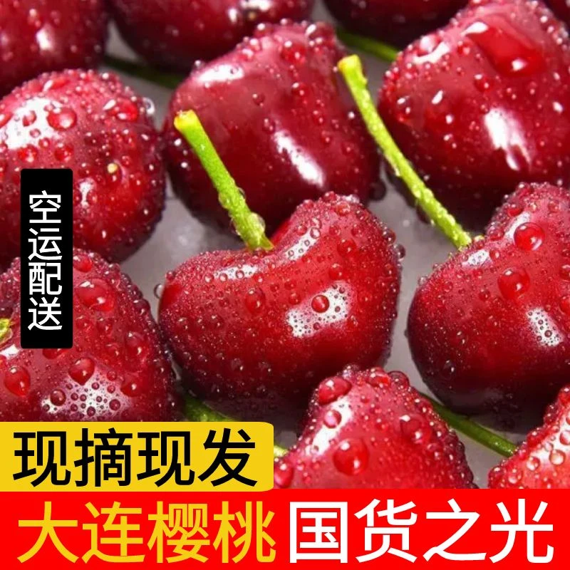 顺丰京东空运 大连美早新鲜樱桃4斤装J新鲜国产大樱桃 内附果径卡