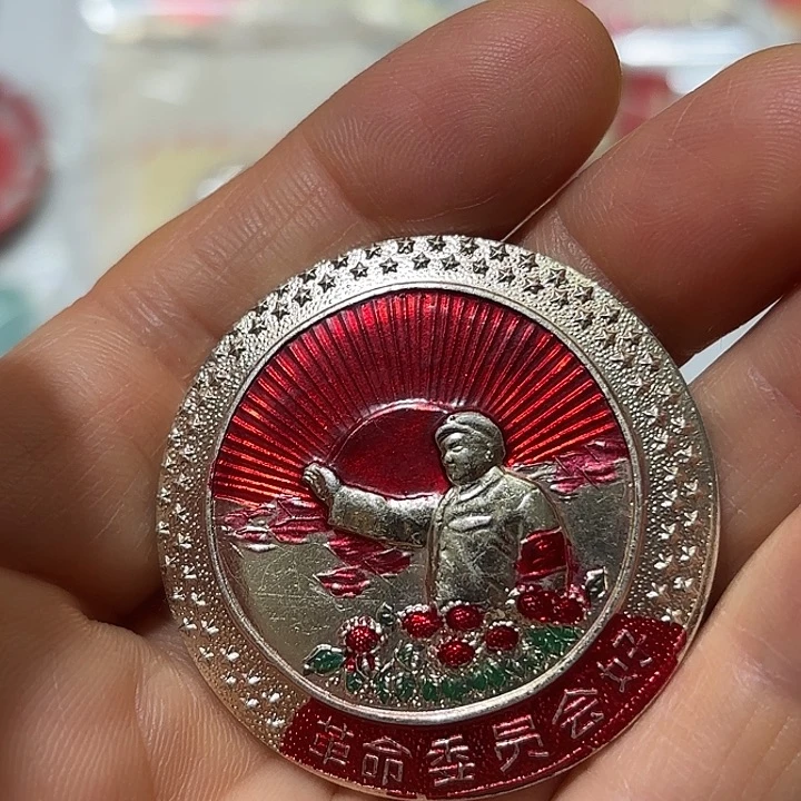 龍***風其他普通金属纪念章