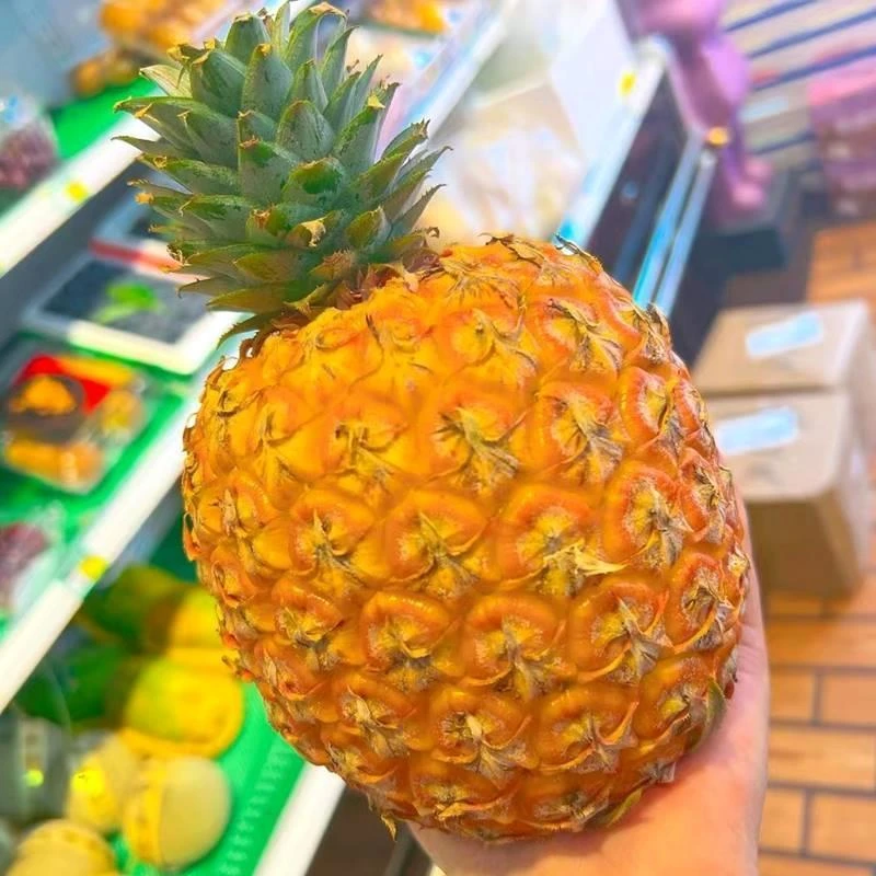 【顺丰大果】海南直发芒果凤梨台农23号自然熟金钻香水凤梨菠萝