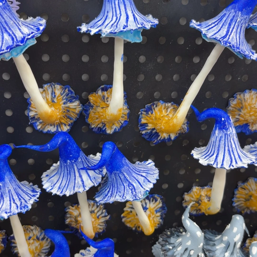 树脂制品24噢噢噢哦哦