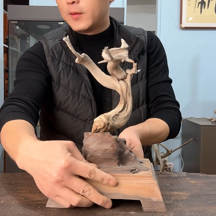 柏木8**代我们的生活也是如此的