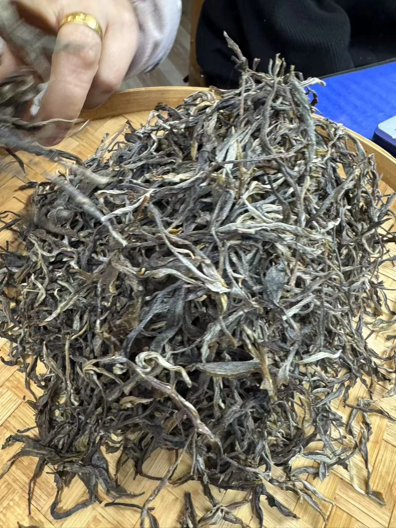 【82】24年广别老寨 生茶