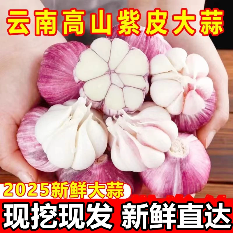 新鲜紫皮鲜蒜现挖云南高山大蒜湿蒜腌制糖醋蒜5斤9斤