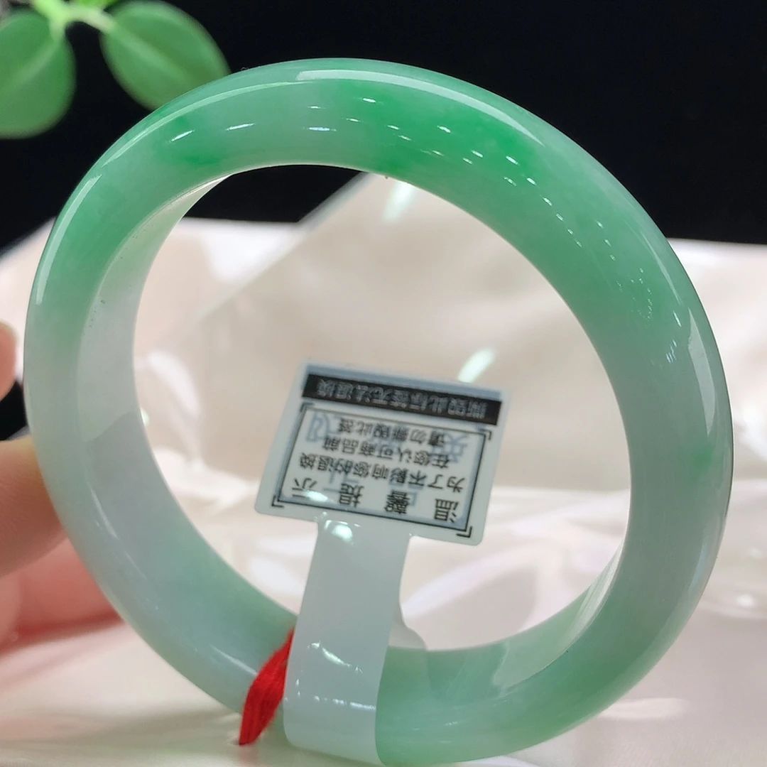 未镶嵌手镯翡翠1013