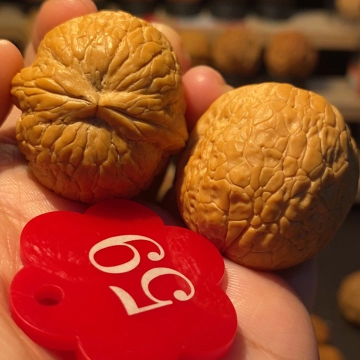 木质类视频一同款，粗筋大西瓜35尺寸