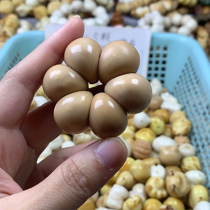菩提根/象牙果手串象牙果蒜瓣瑕疵 不退不换