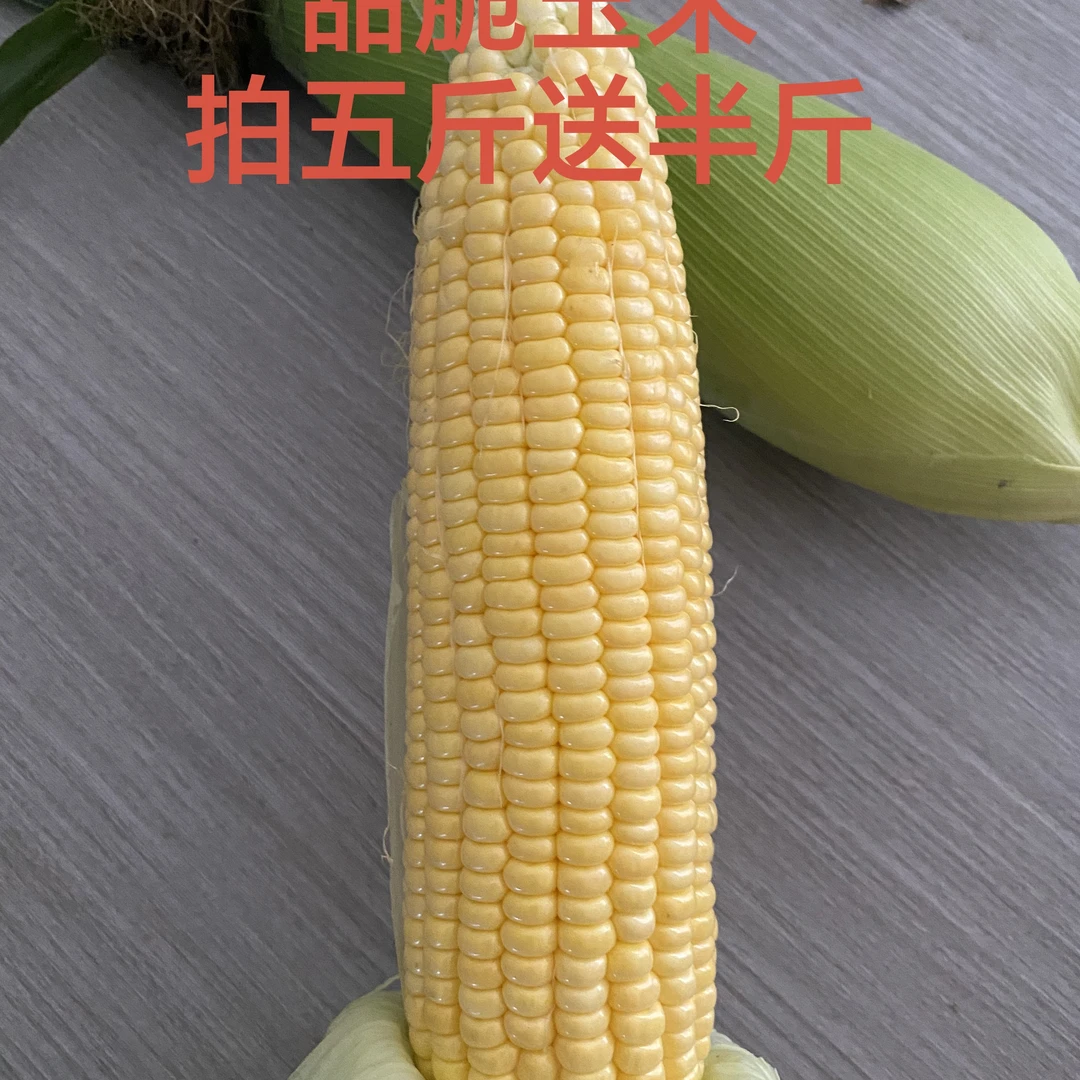 湖北梁子湖生态露天新鲜水果玉米可生吃爆浆甜脆天然香甜