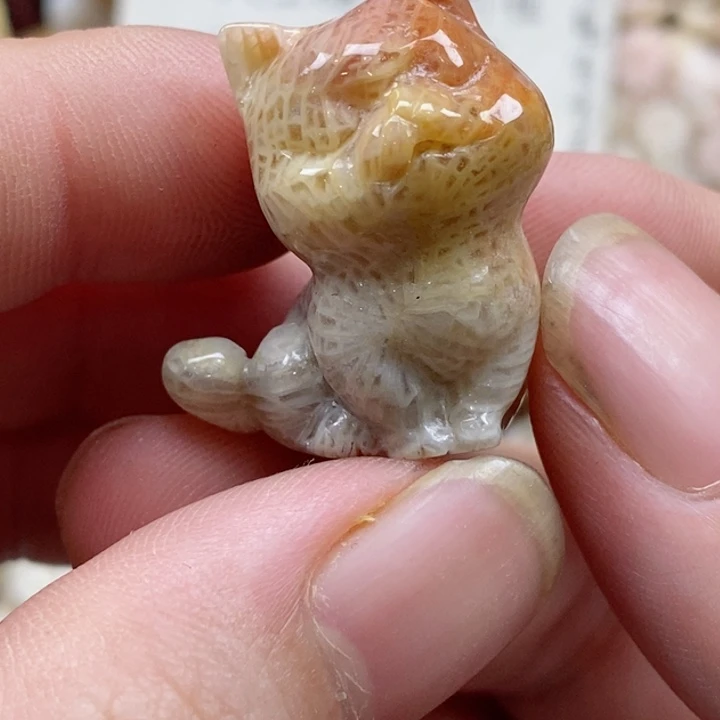 颈饰未镶嵌硅化珊瑚（珊瑚玉）