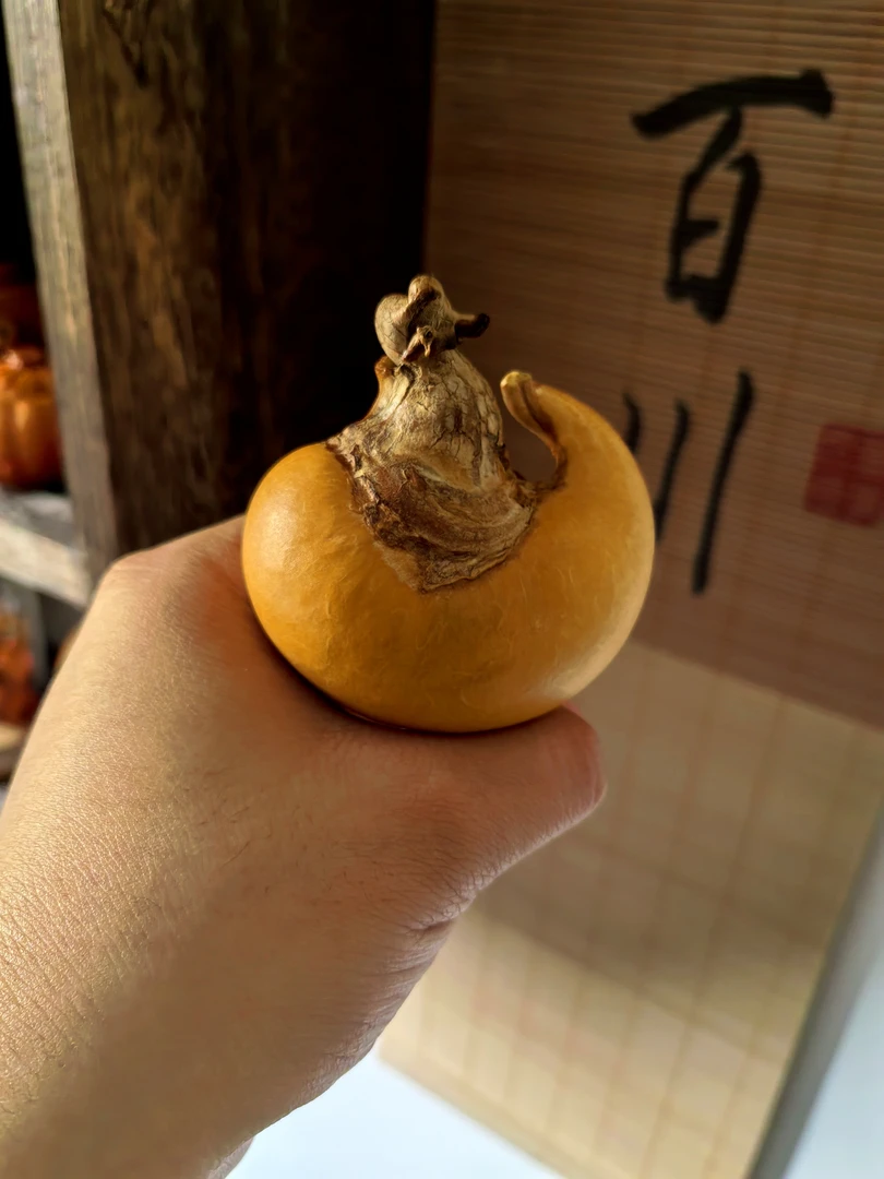 默认1号链接，文玩葫芦，顺丰到付。