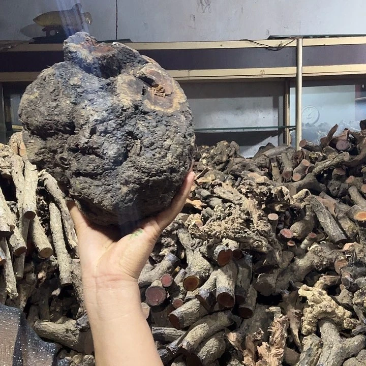 黄***黄香榧木火琉璃的故事是一个