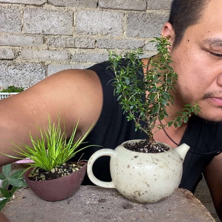 退款拉黑一物一拍160
