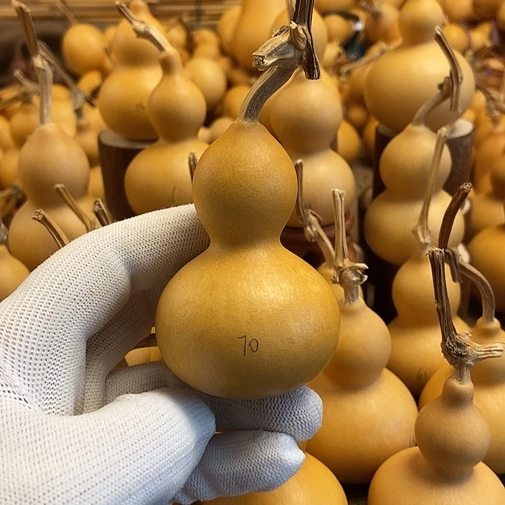 文玩葫芦 完美主义者 慎拍70