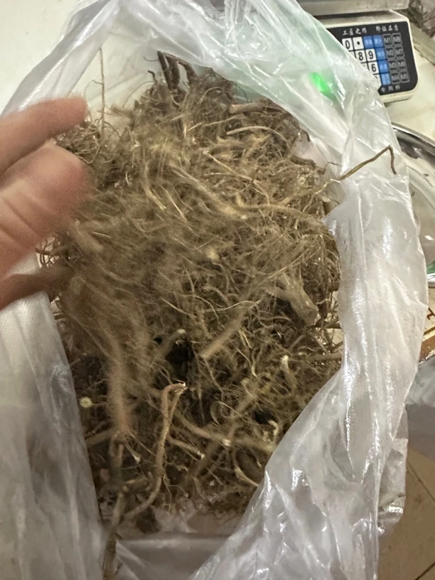 艾草根 艾叶根部 艾叶的根部250克一份