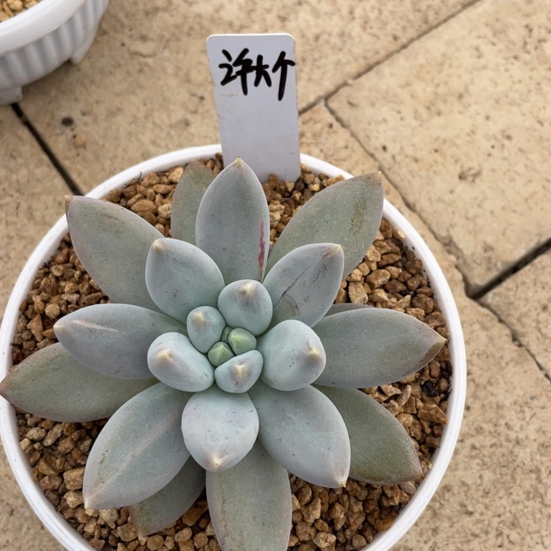 许***个如今我们已经没有那么好了