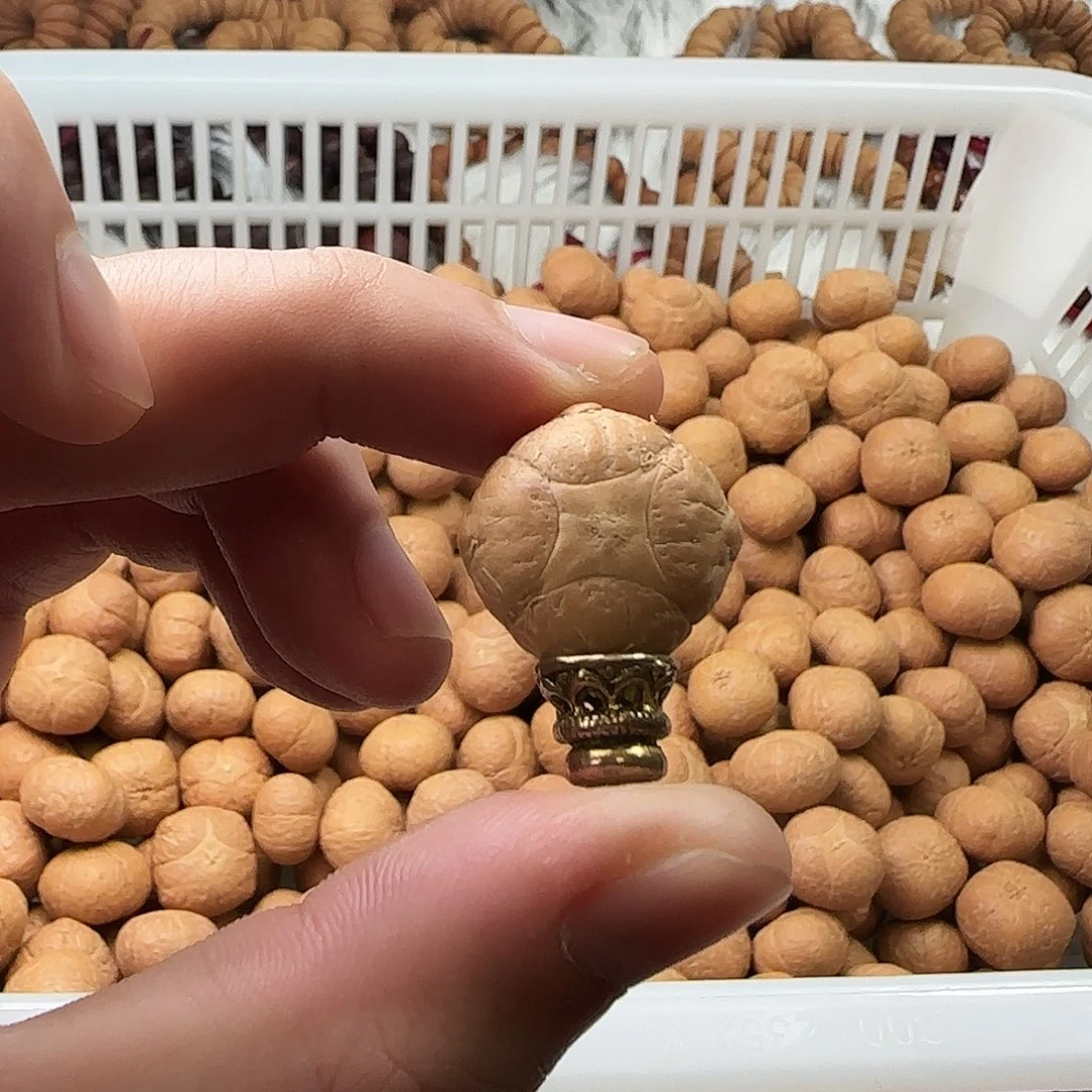 把件凤眼菩提20mm恶魔爪肌肉麒麟眼