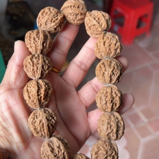 木质野生秋子2.5尺