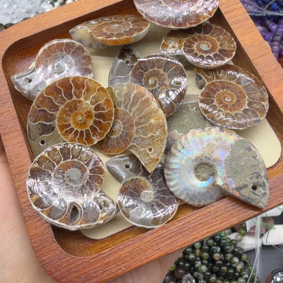 水晶珠宝半成品未镶嵌全玉化螺一个