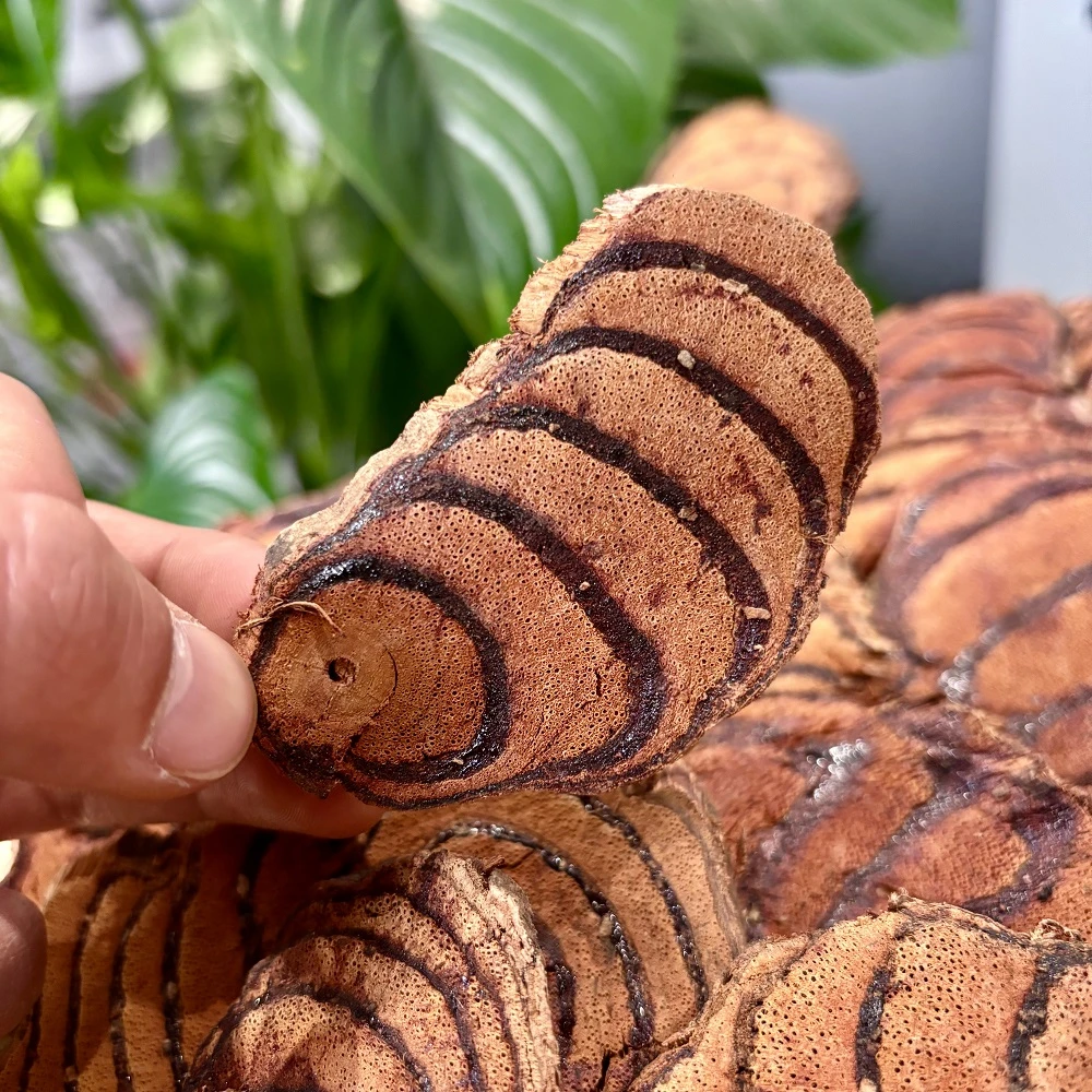 十六州云品250克鸡血藤野生正品无硫干货