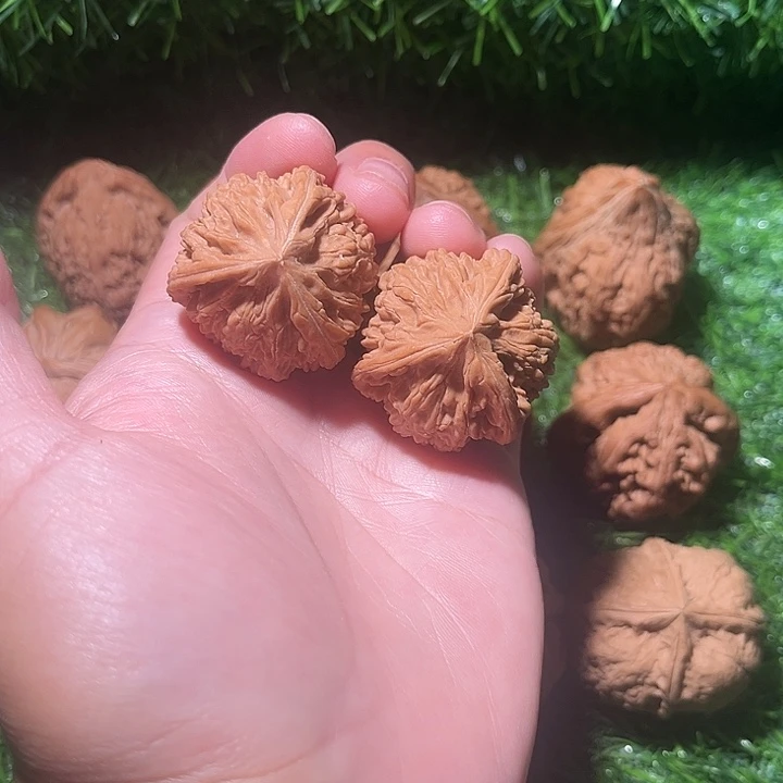 龙脊菩提吊坠玉龙粗筋球奔