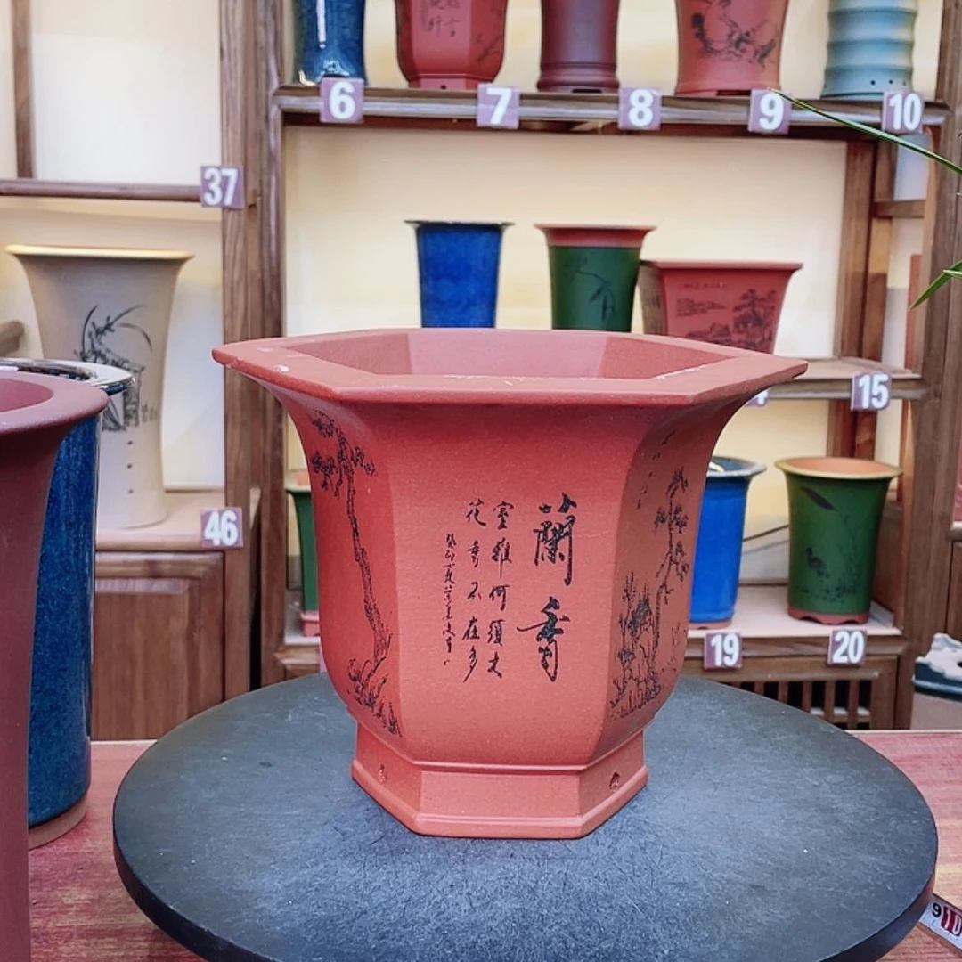 【闪购商品】紫砂花盆?****巍兰花58555589325555