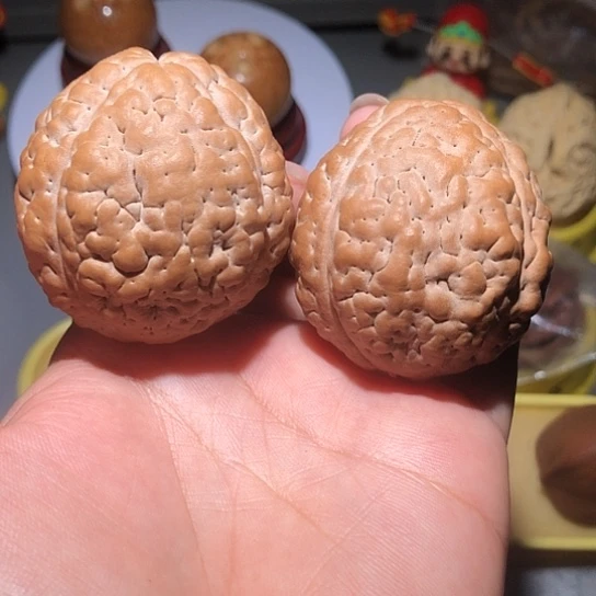 橄榄核把件练手色差金刚菩提