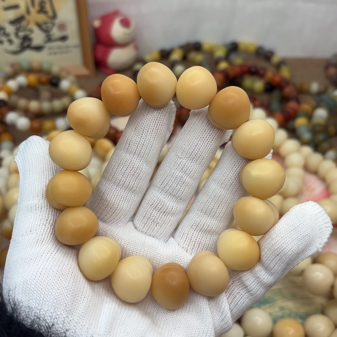 吊坠菩提根/象牙果19干磨瑕疵落地果793