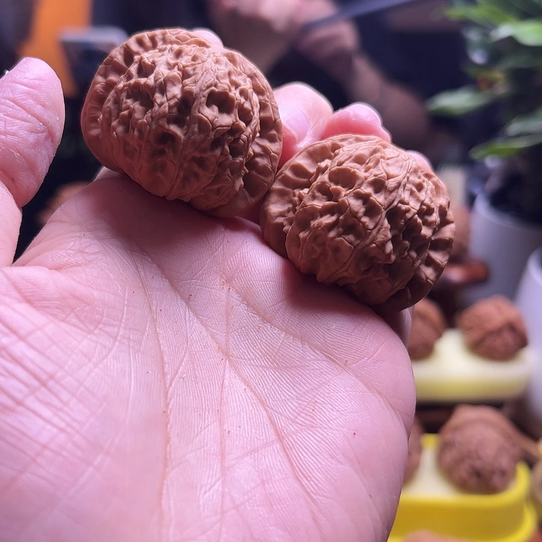 文玩核桃把件37尺白狮子22