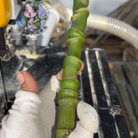 南***方实心竹竹竹竹竹竹竹竹