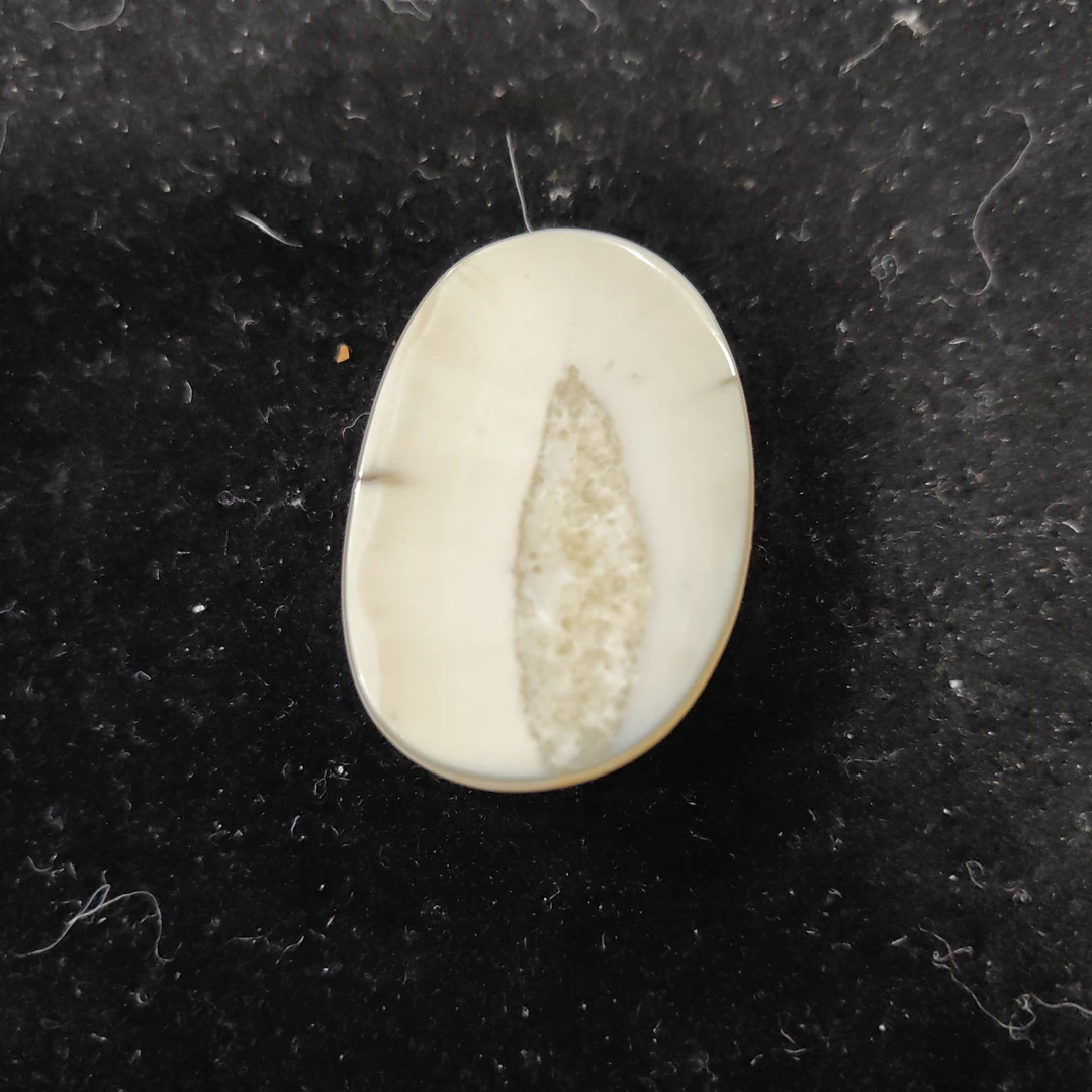 猛犸猛犸虬饼子WT512